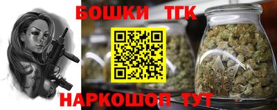сатива Лесосибирск