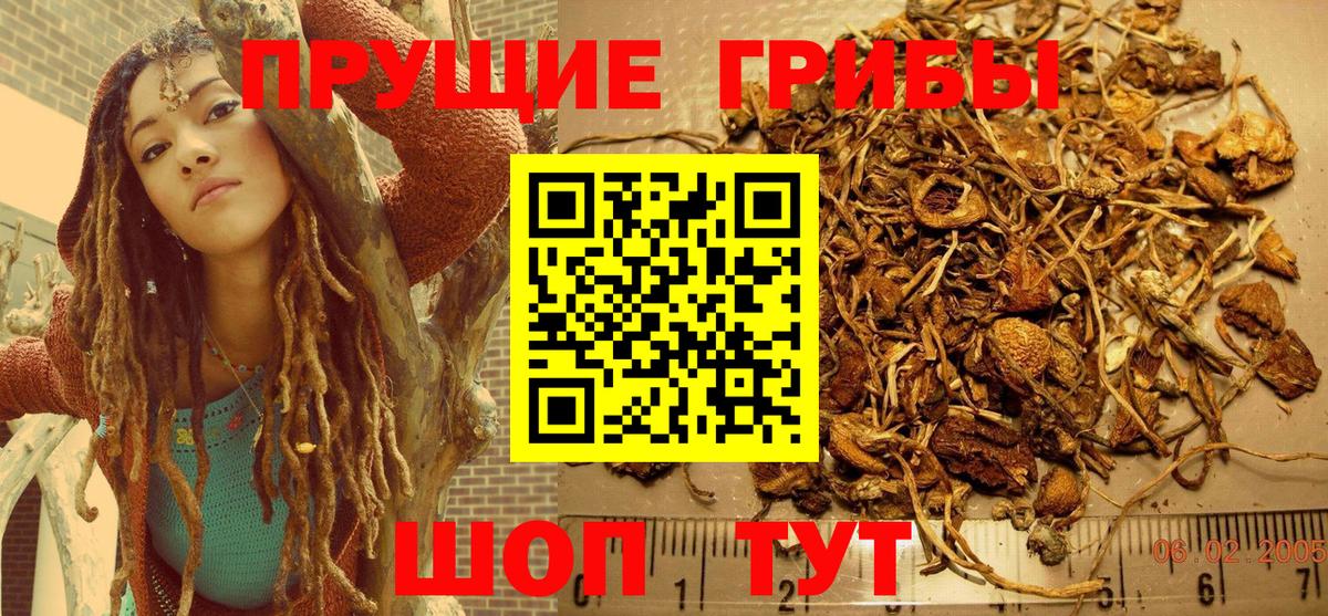 Псилоцибиновые грибы MAGIC MUSHROOMS Камень-на-Оби
