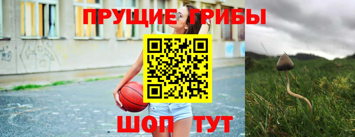 Галлюциногенные грибы Magic Shrooms  Вход с VPN  Камень-на-Оби  Галлюциногенные грибы GOLDEN TEACHER 